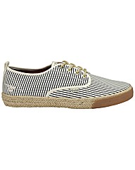 Gola Osprey