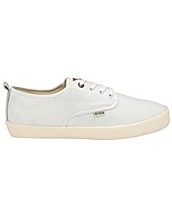 Gola Falcon