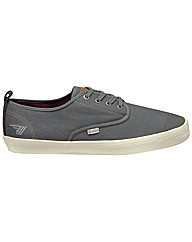 Gola Falcon