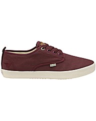 Gola Falcon