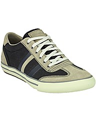 Skechers Men