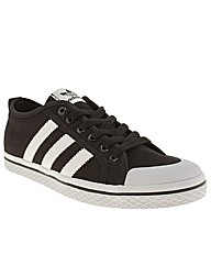 Adidas Honey Low Stripes