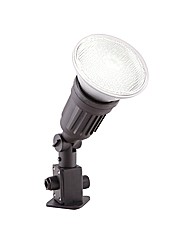 Spike Light with PAR 38 LED Light Bulb