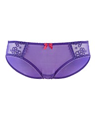 Cleo Lucy Brief