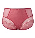 Panache Elsa High Waisted Brief