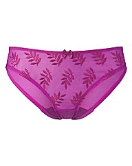 Panache Tango Brief
