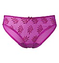Panache Tango Brief