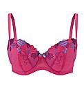 Cleo Nina Padded Balconnet Bra