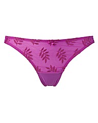 Panache Tango Thong