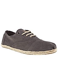 Toms Cordones Perforated