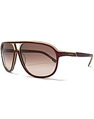 Lacoste Aviator Sunglasses