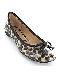 Gluv Cayman Ballerina Shoe