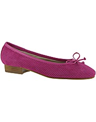 Riva Larissa Punched Suede Shoe