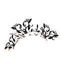 Paperself Pair Peach Blossom Lashes