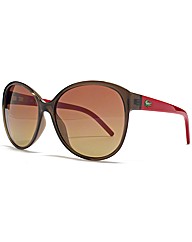 Lacoste Cateye Sunglasses
