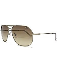 Lacoste Aviator Sunglasses