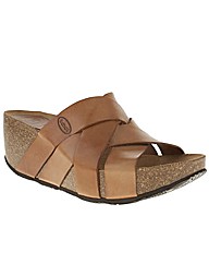 Scholl Erula