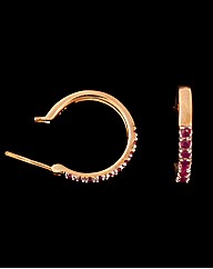 9ct Yellow Gold Ruby Hoop Earrings