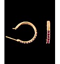 9ct Yellow Gold Ruby Hoop Earrings