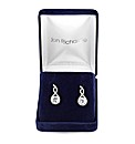 Jon Richard Cubic Zirconia Twist Earring