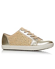 Moda in Pelle Fendon Ladies Shoes