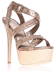 Carvela Kurt Geiger Goddess shoes