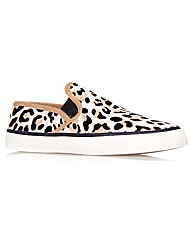 Carvela Kurt Geiger Laurel trainers