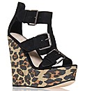 Carvela Kurt Geiger Krook shoes