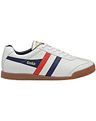 Gola Harrier