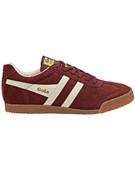 Gola Harrier