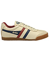 Gola Harrier