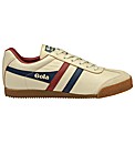Gola Harrier