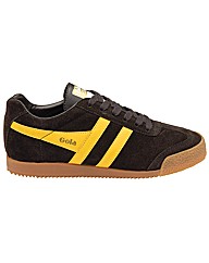 Gola Harrier