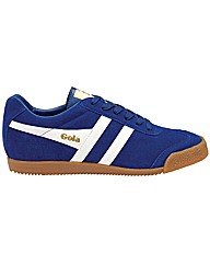 Gola Harrier