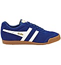 Gola Harrier