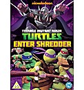 Teenage Mutant Hero Turtles