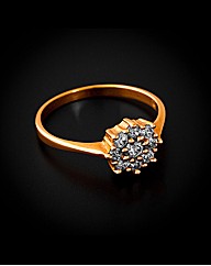 9ct Yellow Gold 0.50ct Cluster Ring