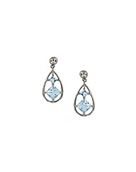 9ct White Gold Aquamarine Drop Earrings