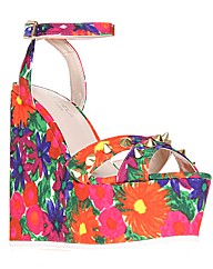 Carvela Kurt Geiger Gardinia shoes