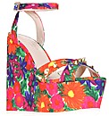 Carvela Kurt Geiger Gardinia shoes