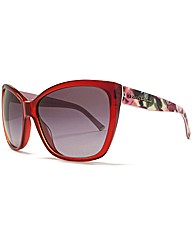 Dolce & Gabbana Sunglasses