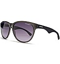 Carrera Sunglasses