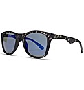 Carrera Sunglasses