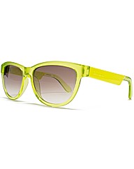 Carrera Sunglasses