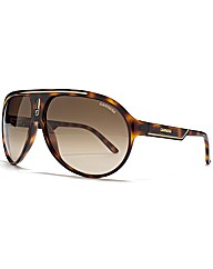 Carrera Sunglasses