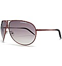 Carrera Sunglasses