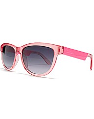 Carrera Sunglasses