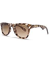 Carrera Sunglasses