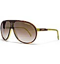 Carrera Sunglasses