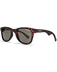 Carrera Sunglasses
